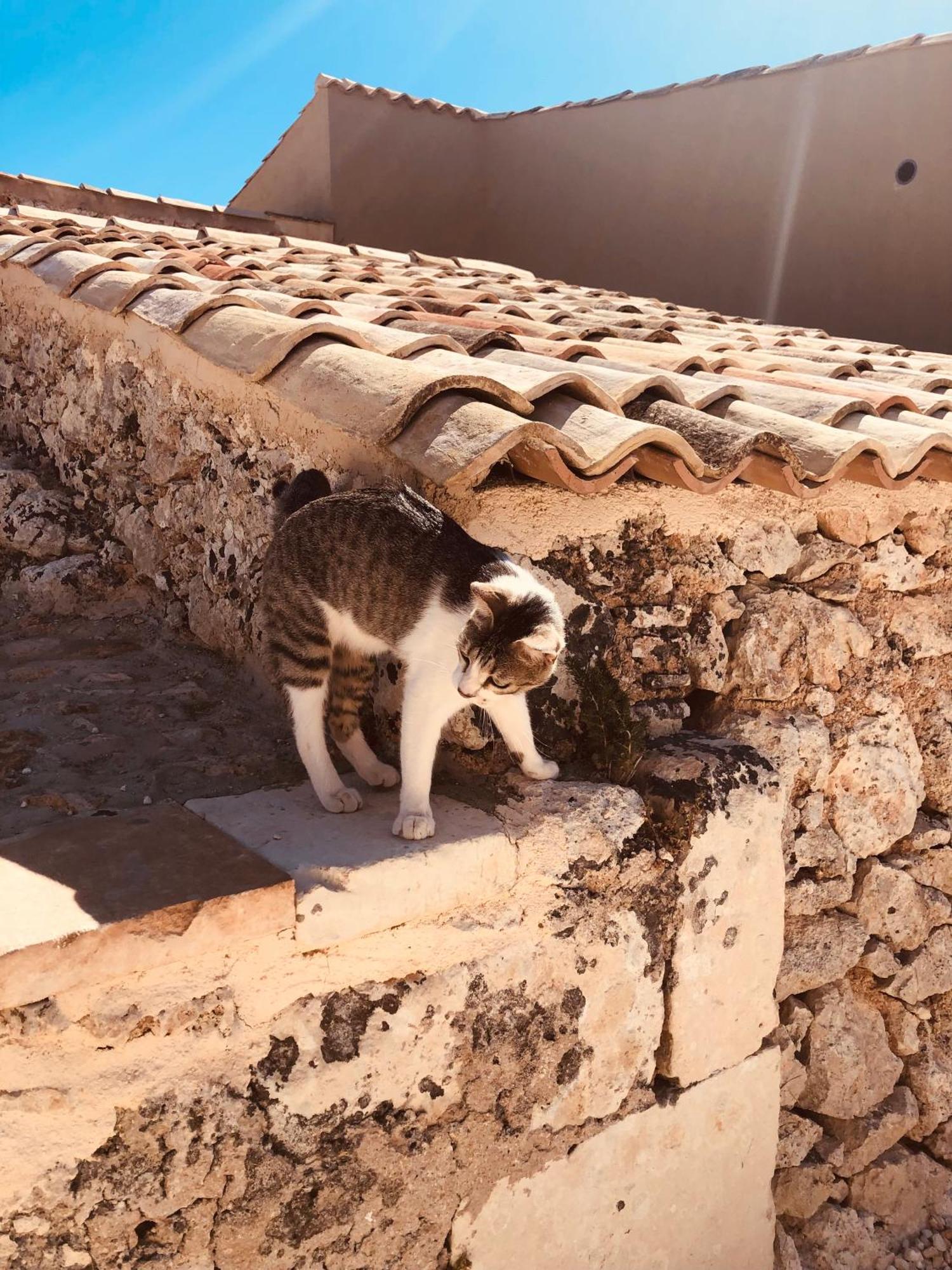 Casa Imayah Charming B&B Noto Bagian luar foto