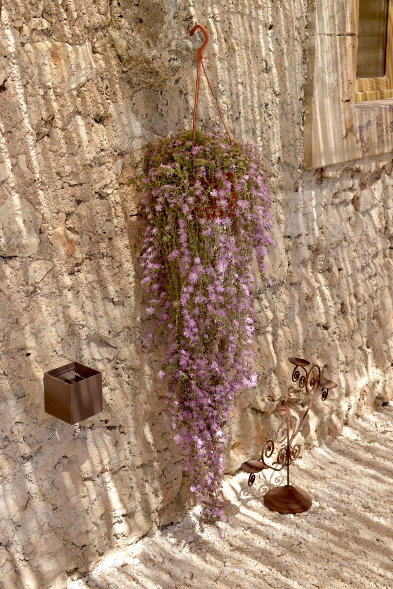 Casa Imayah Charming B&B Noto Bagian luar foto
